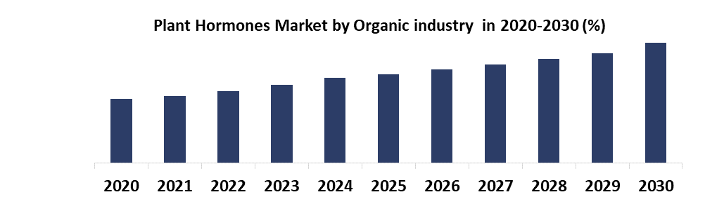 Plant Hormones Market1