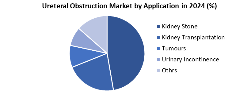 Ureteral Obstruction Market by Application